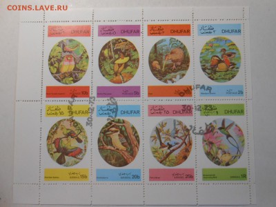 Птицы, 4 малых листа, до 19.11.2015 - DSCN1394.JPG