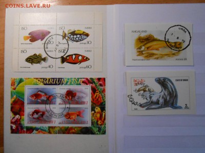 Морская фауна и рыбы, сток марок, до 19.11.2015 - DSCN1400.JPG
