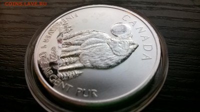 5$ ДОЛЛАРОВ КАНАДА ВОЛК 2011  серебро унция - WP_20151113_19_18_52_Pro