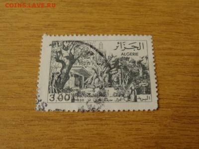 Алжир, пейзаж - DSC07678.JPG