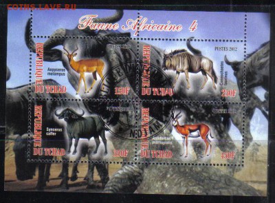 Чад мл 2012г Животные до 16.11 22.00мск - Чад мл 2012г Животные