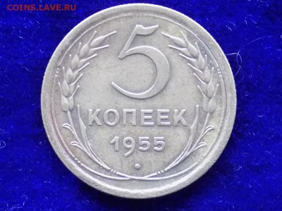 5 копеек 1955год.до 16.11.15г.22.00 - RSCN1226.JPG