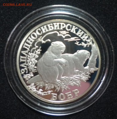 1 руб. 2001 Красная книга. Западносибирский бобр 16.11 22-05 - DSCN8571.JPG