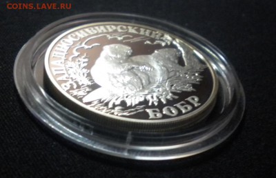 1 руб. 2001 Красная книга. Западносибирский бобр 16.11 22-05 - DSCN8573.JPG