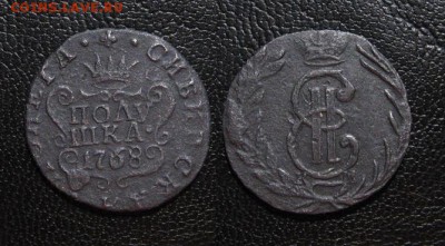 1768_полушкаКМ_красивая_ до 18.11.15 - 1768_ПолушкаСиб-450