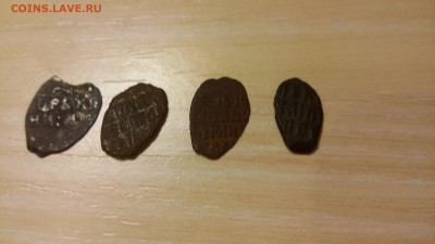 4 чешуйкина определение по каталогу - 20151114_191714