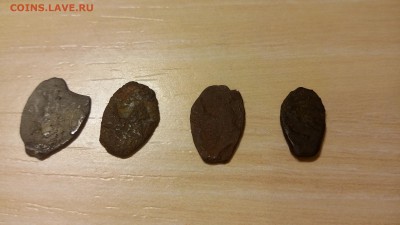 4 чешуйкина определение по каталогу - 20151114_191739