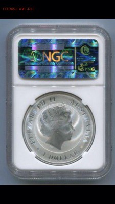 Крокодил в слабе NGC, до 18.11.15 - xCcI3e6qLeE