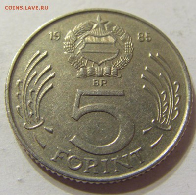 5 форинтов 1985 год Венгрия до 18.11.2015 22:00 МСК - 0251.JPG