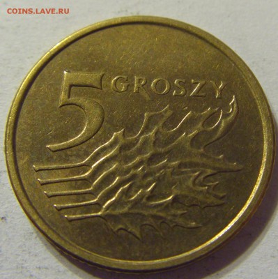 5 грош 2008 год Польша до 18.11.2015 22:00 МСК - 0553.JPG