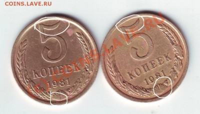 5 копеек 1981 года 2 шт. разнов. до 14.09.10г. в 19.00 - IMAGE0017.JPG
