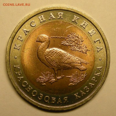 Краснозобая казарка UNC (КК 10 рублей 1992) - до 20.11.15. - DSCN7273