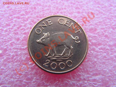 -Бермуды- 1 цент 2000(фауна) -- 13,09 22-00 - PICT0810.JPG