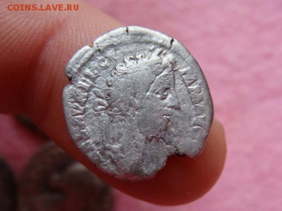 Денарий Рим до 22-00, 19.11.2015 - DSC08735.JPG