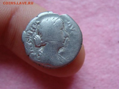 Денарий Рим до 22-00, 19.11.2015 - DSC08733.JPG