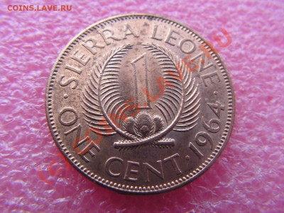 -Сьерра-Леоне- 1 цент 1964 -- 13,09 22-00 - PICT0750.JPG