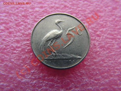 -ЮАР- 5 цент 1965(фауна) -- 13,09 22-00 - PICT0761.JPG