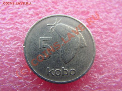 -Нигерия- 5 кобо 1973(флора) -- 13,09 22-00 - PICT0773.JPG