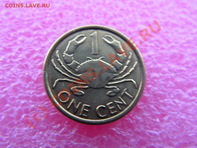 -Сейшелы- 1 цент 2004(фауна) -- 13,09 22-00 - PICT0813.JPG