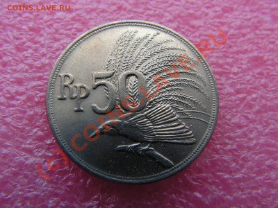 -Индонезия- 50 рупия 1971(фауна) -- 13,09 22-00 - PICT0763.JPG