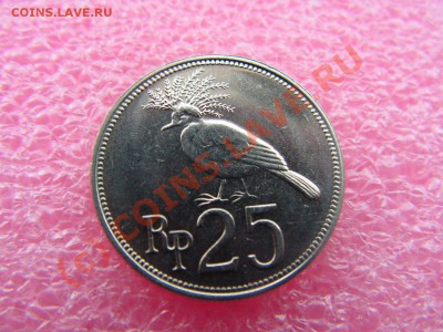 -Индонезия- 25 рупия 1971(фауна) -- 13,09 22-00 - PICT0807.JPG