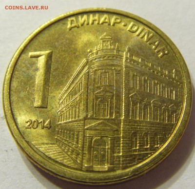 1 динар 2014 год Сербия до 19.11.2015 22:00 МСК - 0731.JPG