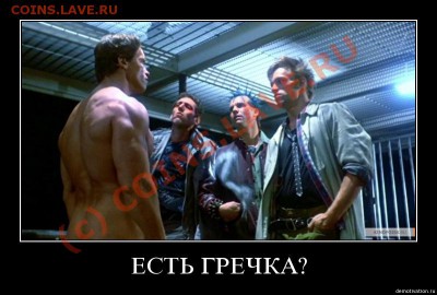 Где гречневая крупа? - гречка