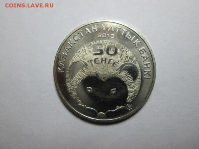 Казахстан. Красная книга.Длинноиглый еж. до 16.11.15 22.00 - IMG_5750б