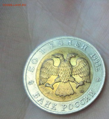 КК Слепыш до 17.11.15г в 22.00 по МСК - DSC01538.JPG