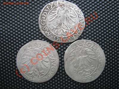 ВКЛ(Литва) полугроши 1661,1663,1664 гг. 3 шт. до 11.09 22.00 - Изображение 5180
