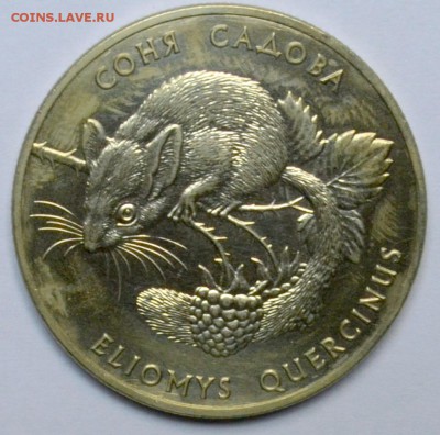 Украина 2 гривны 1999 Соня Садовая 20.11.15 22.00 - DSC_0009.JPG