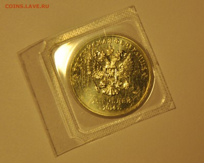 25 рублей. Сочи 2014. Факел в запайке. До 22.11.2015 22:00 - CSC_0013.JPG