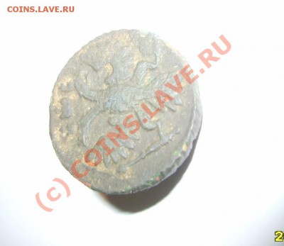 Полушка 1735 года - толщина - S8301253.JPG