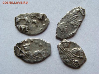 Петр 1 чешуйки 4 шт. кладовые (короткий) 19.11.2015 в 22-00 - DSC09124.JPG