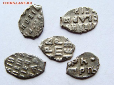 Петр 1 чешуйки 5 шт. кладовые (короткий) 19.11.2015 в 22-00 - DSC09119.JPG