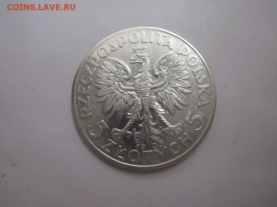 5 злотых 1933 до 19.11.15 - IMG_9336.JPG