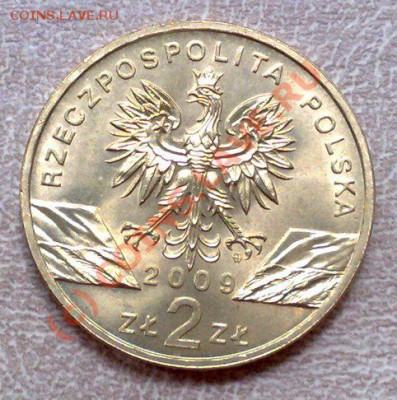 Польша 2злот 2009 Ящерица 14.09 21.00 - Ящерица-2