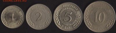 Иностранная ЮБИЛЕЙКА по ФИКСу - юг ФАО -1