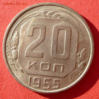 20 коп 1955. прочекан,красивые 23.11.2015 23.00 - 20 55 р.JPG
