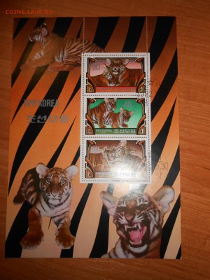 Корея, фауна, тигрята, серия в листе, до 23.11.2015 - DSCN1910.JPG