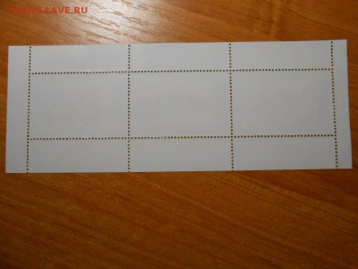 Морская фауна, серия в листе, Корея, до 23.11.2015 - DSCN1907.JPG