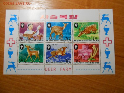 Олени, серия в листе, Корея, до 23.11.2015 - DSCN1900.JPG