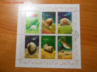 Раковины, серия в листе, Корея,  до 23.11.2015 - DSCN1890.JPG