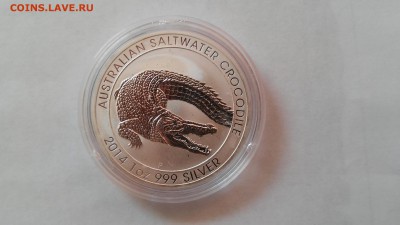 Австралия 1 доллар - Крокодил, 1 унция, до 22.11.2015 г. - Крокодил1