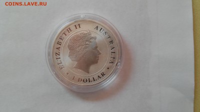 Австралия 1 доллар - Крокодил, 1 унция, до 22.11.2015 г. - Крокодил2