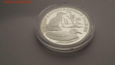 1 руб.2005 г.Длинноклювый пыжик до 24.11.2015 22-00 МСК - DSCF3197.JPG