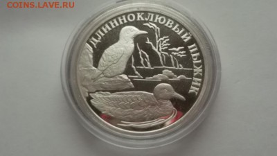 1 руб.2005 г.Длинноклювый пыжик до 24.11.2015 22-00 МСК - DSCF3198.JPG