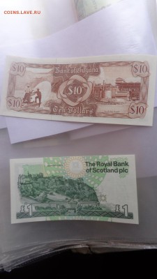 ГАЙАНА 10 $  1992 г пресс  в 21-20 мСКи 24 ноя - ........18.11.2015.....ггг 313.JPG
