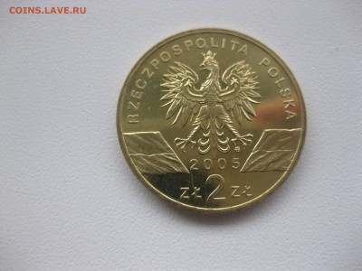 ПОЛЬША,2 злотых 2005г(Филин)!до 19.11.2015 - IMG_9508.JPG