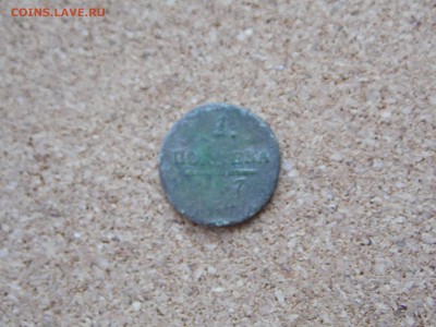 полушка Павла 1 1797  нечищенная. до 21.11.15  22:00 - SAM_0108.JPG